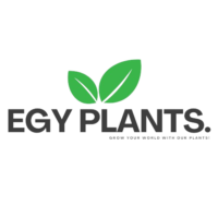 EGY PLANTS